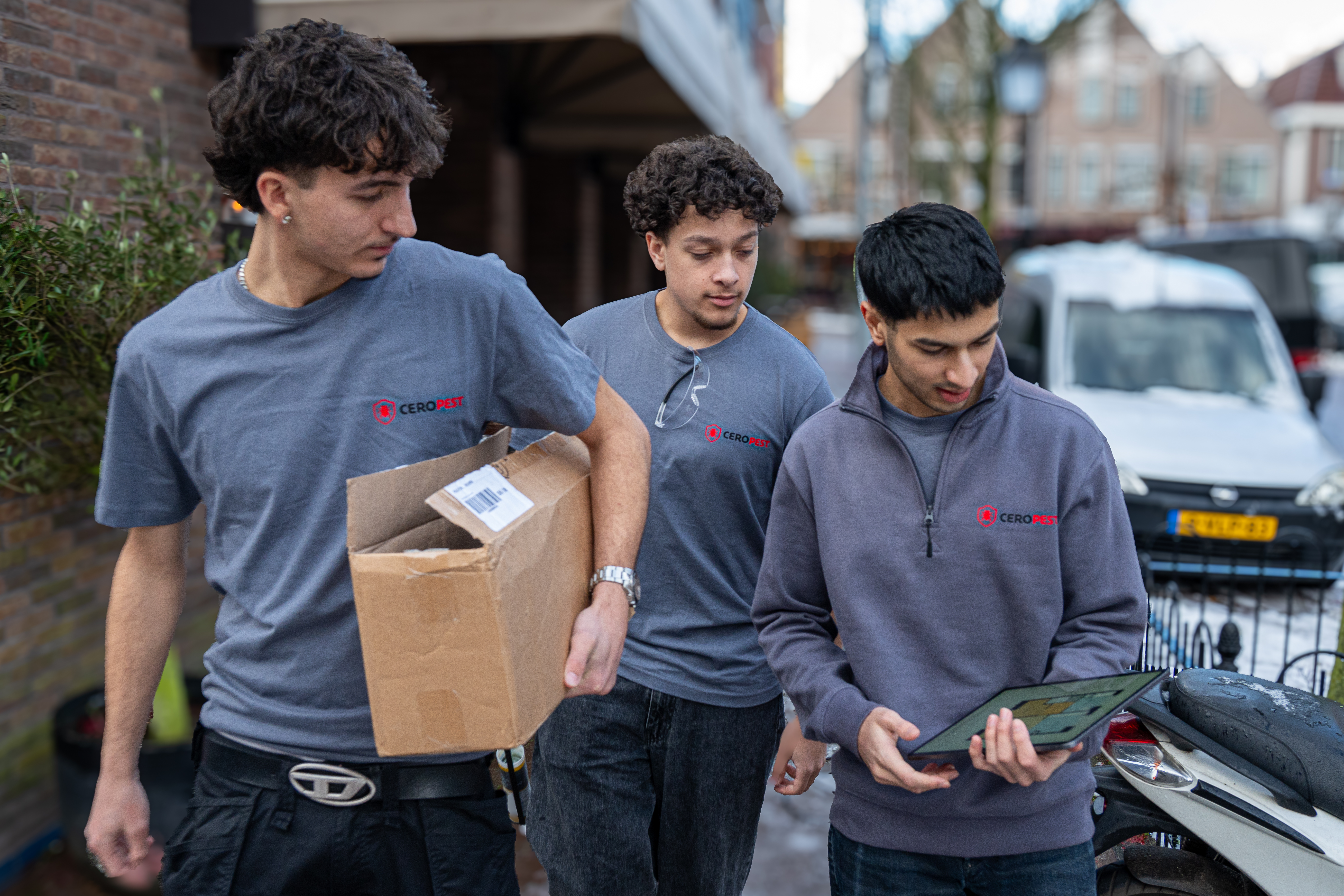 Professional pest control team